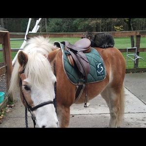 Meet your Posher, Darcey